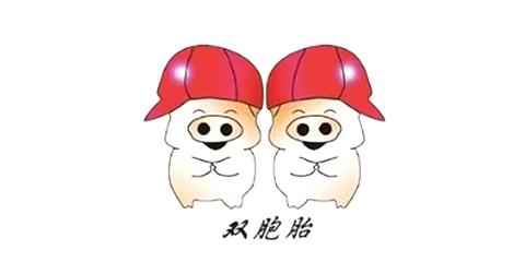 合作客户_copy_copy